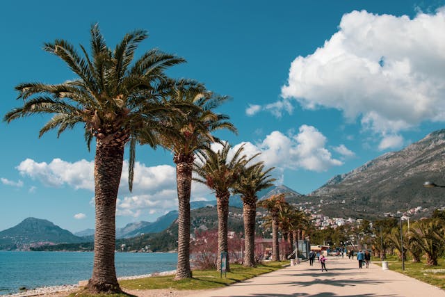 Circuit Clasic MUNTENEGRU - ALBANIA circuit cu sejur 8 zile Autocar 2026