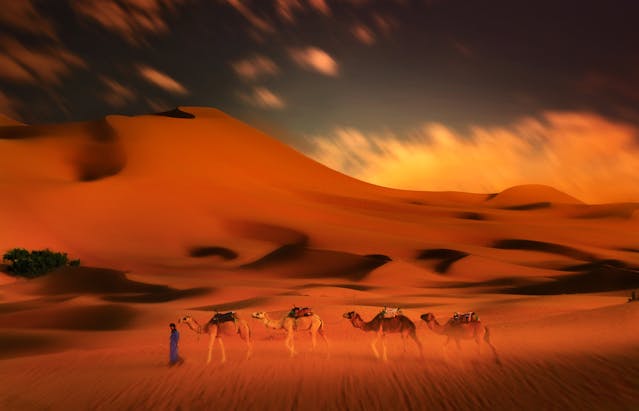 Senior Holidays MAROC 8 zile Avion