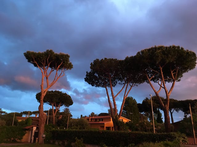 Senior Holidays TOSCANA 8 zile Avion 2026 CLUJ