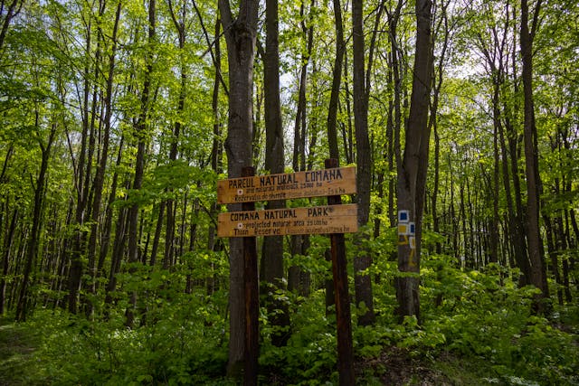 O zi cat o vacanta - Biserica Draganescu – Parcul si Manastirea Comana – Palatul Brancovenesc de la Potlogi
