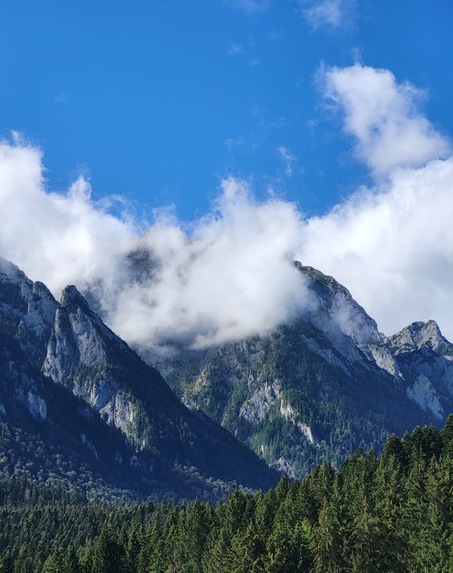 O zi cat o vacanta - O Zi, Cinci Comori: Prahova Culturala