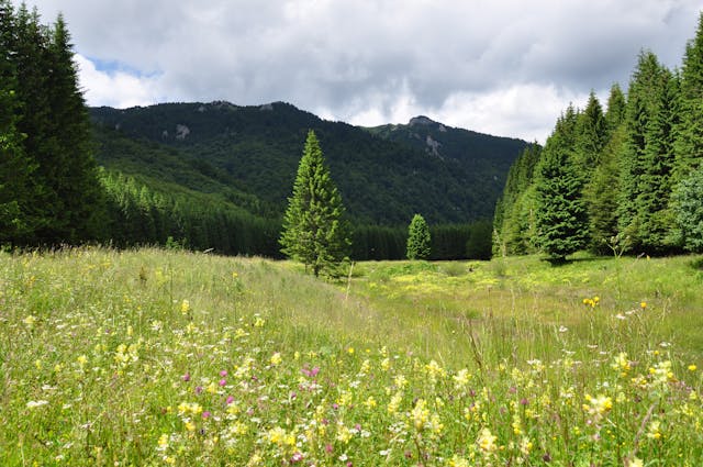 O zi cat o vacanta - Gradina de Lavanda – Salina Slanic