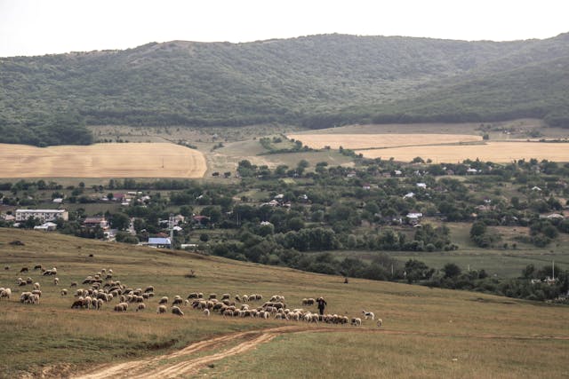 O zi cat o vacanta - Manastirea Sinca Veche – Cetatea Fagarasului – Sambata de Sus