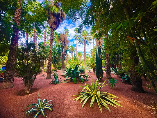 MAROC – Regatul contrastelor PREMIUM TOURS 2025-2026