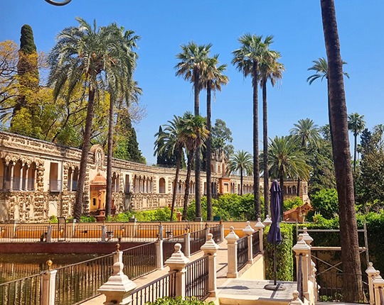 Senior Holidays COSTA DEL SOL 8 zile Avion 2026 CLUJ