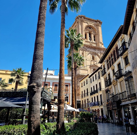 Senior Holidays COSTA DEL SOL 8 zile Avion 2026 CLUJ